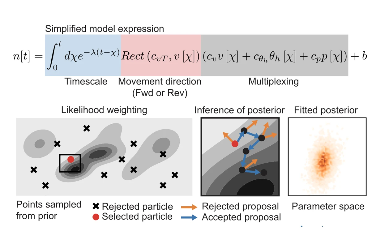 Probabilistic modeling visualization